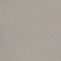 Ковролин Radici Nexus Perla 8209 фото 1 | FLOORDEALER